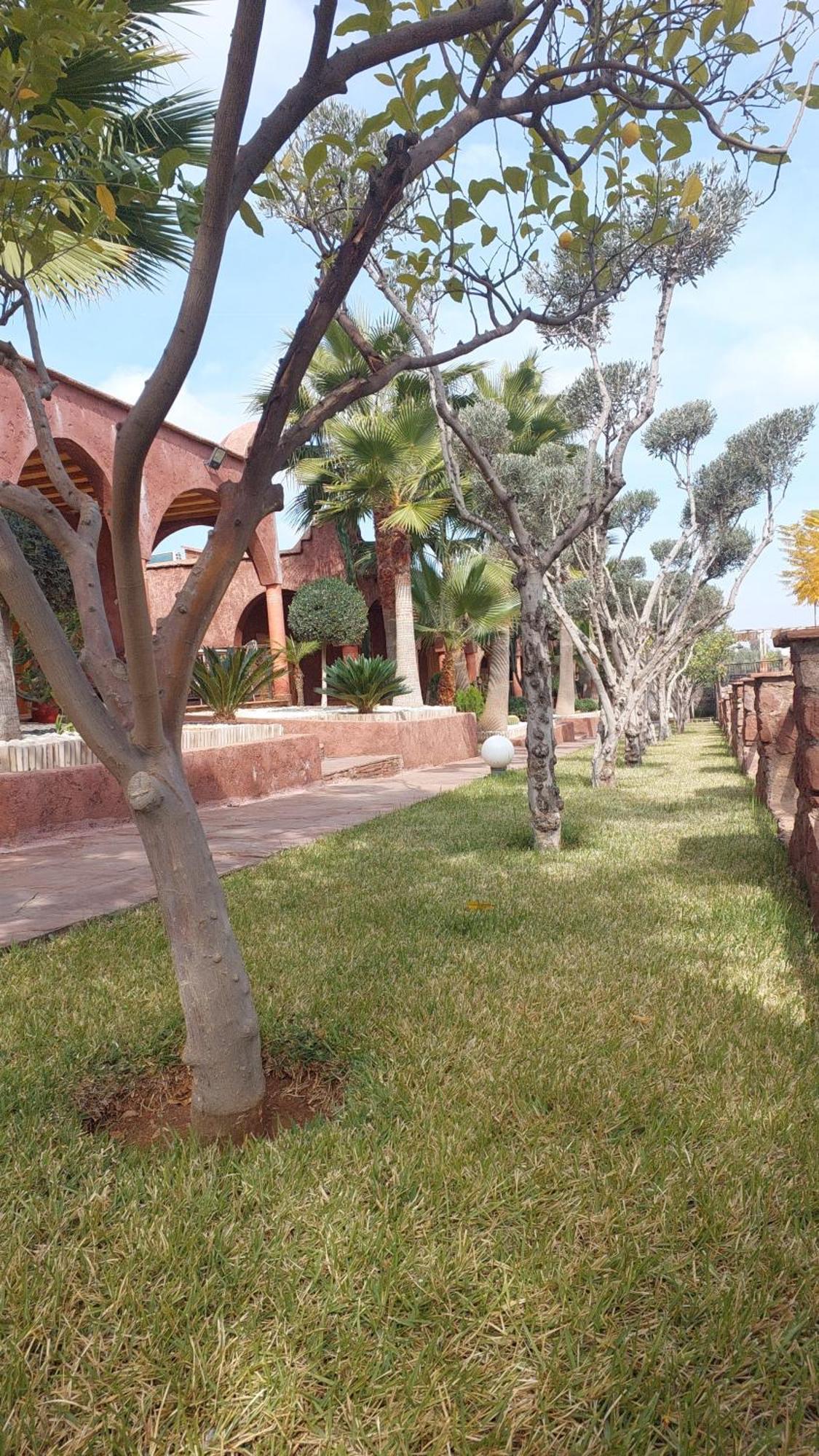 Chez Mamouchthka Bed & Breakfast Ourika Ngoại thất bức ảnh